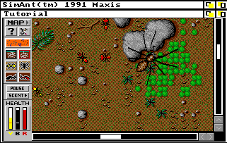 Sim Ant (Amiga) download