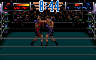 3D World Boxing screenshot