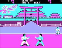 International Karate screenshot