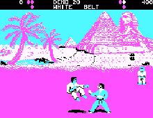 World Karate Championship screenshot