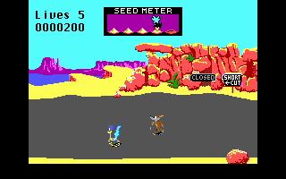 Road Runner screenshot