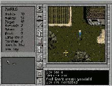 Prophecy of The Shadow screenshot