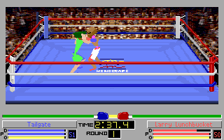 4D Boxing screenshot