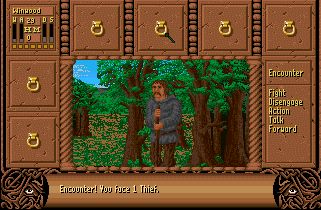 Fate: Gates of Dawn screenshot