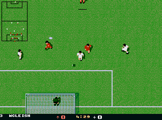 Goal screenshot