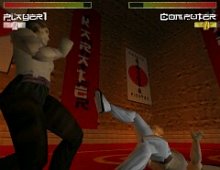 Karate Fighter screenshot