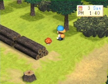 back to nature harvest moon pc download