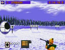 Winter Olympics: Lillehammer '94 screenshot